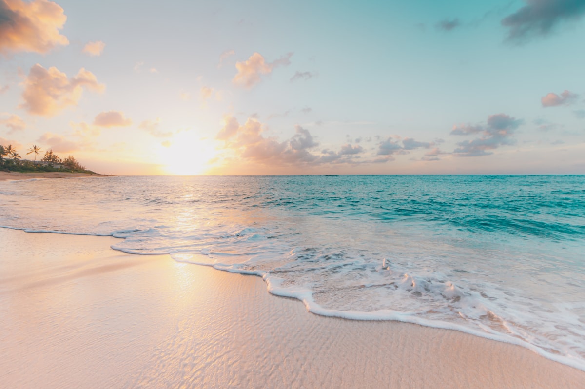 Exploring Ocean Energy: The Future of Sustainable Power